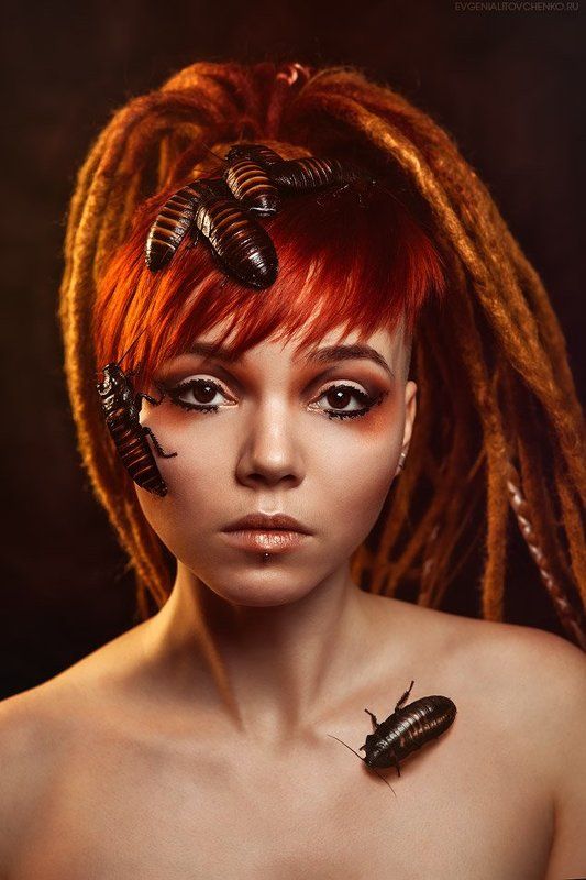 Африка, Бритый, Глаза, Девушка, Дреды, Карие, Мадагаскарские, Насекомые, Портрет, Рыжий, Тараканы Африканские мотивыphoto preview