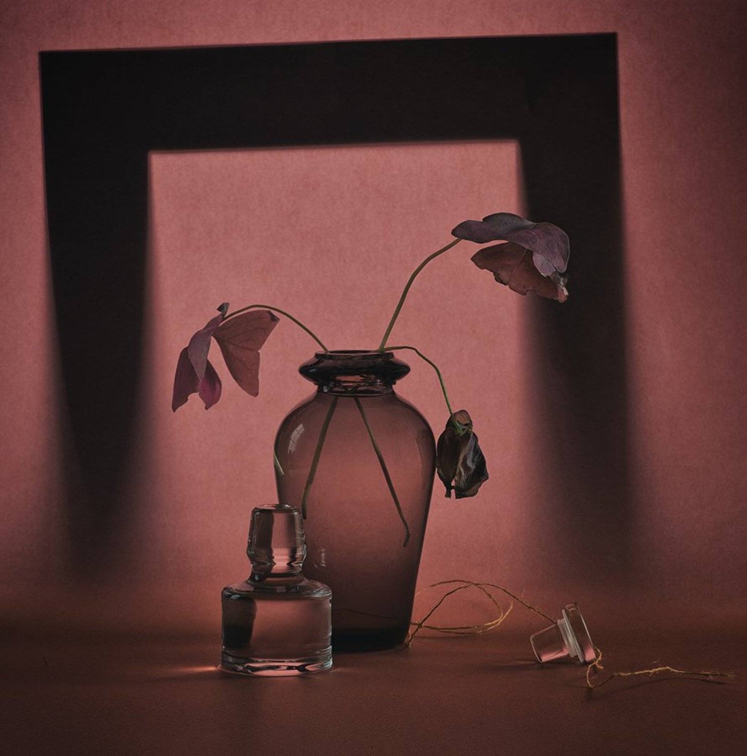 , Гелена Гленкова