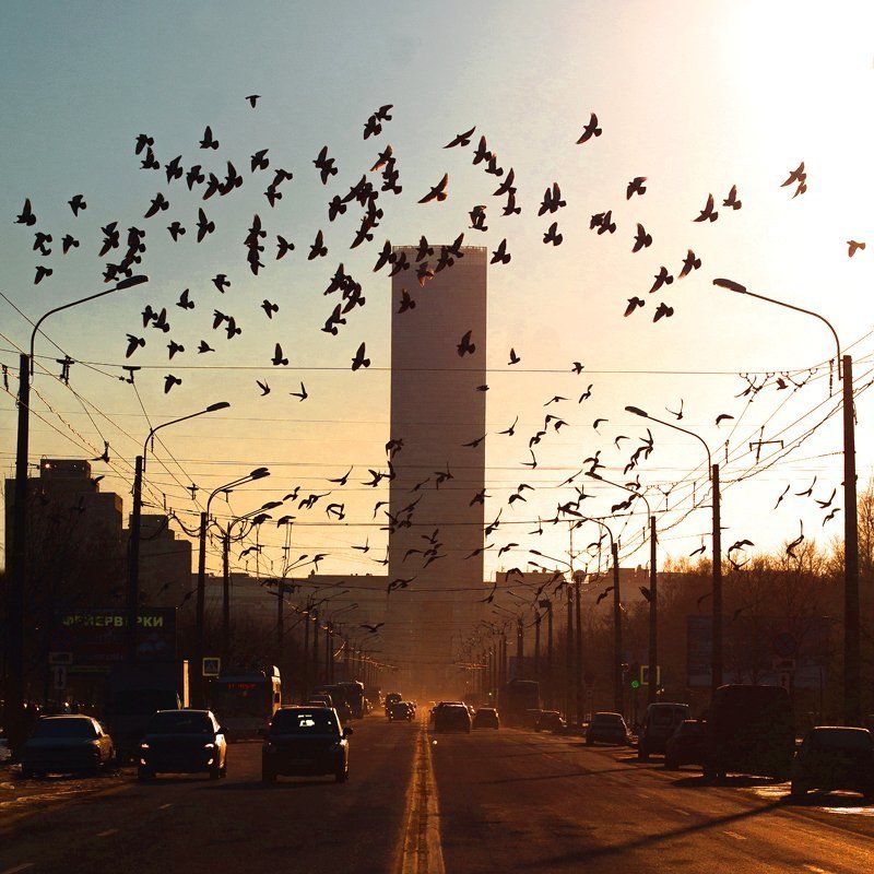 Площадь конституцииphoto preview