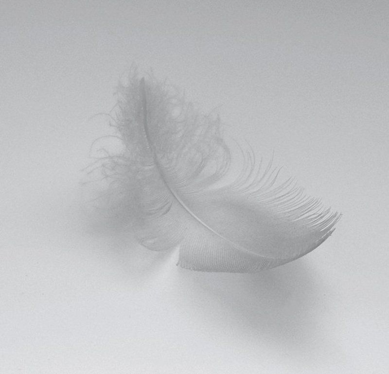 untitled#*0photo preview