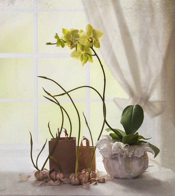 .... Тяга к прекрасному...photo preview