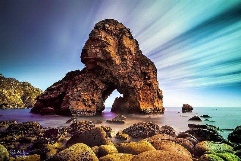 Gorillaphoto preview