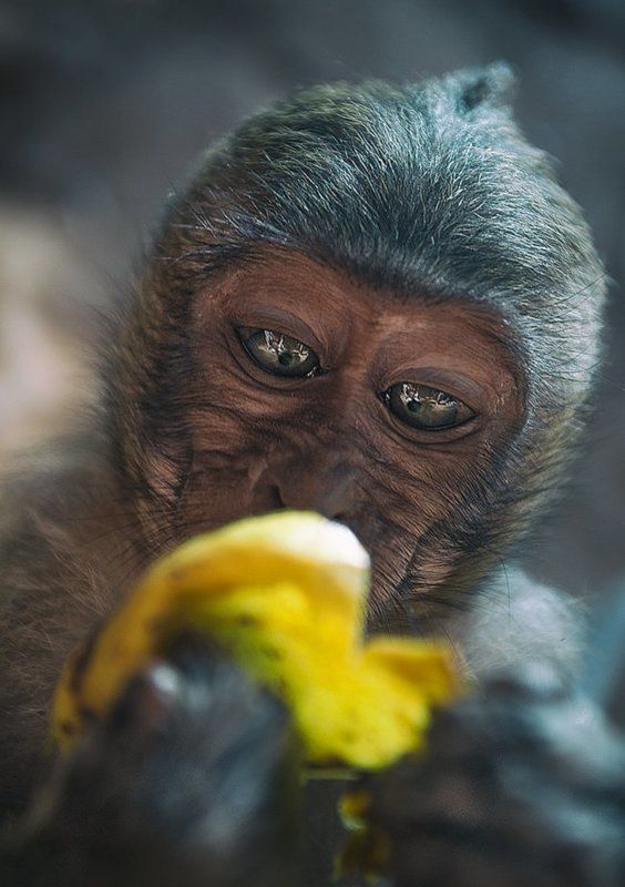 Вкусняшка.photo preview