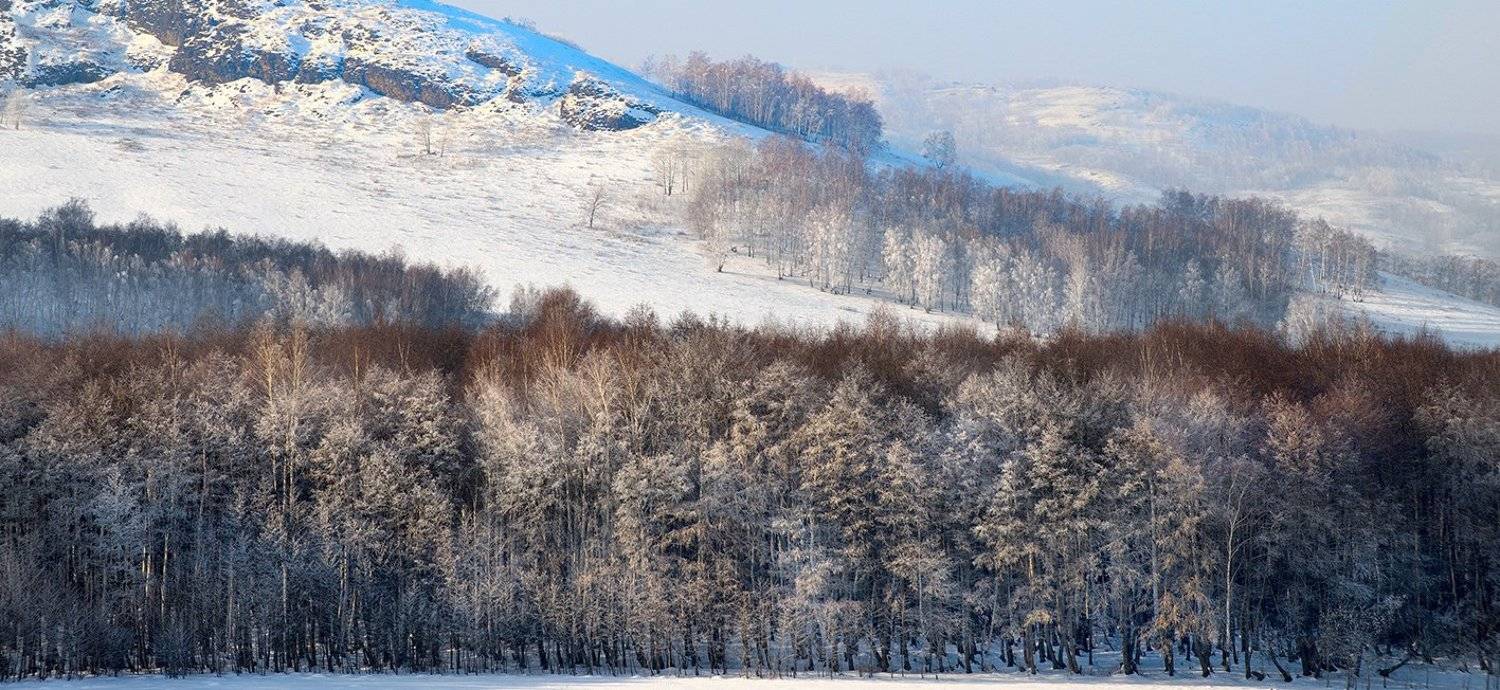 , Орлов Михаил