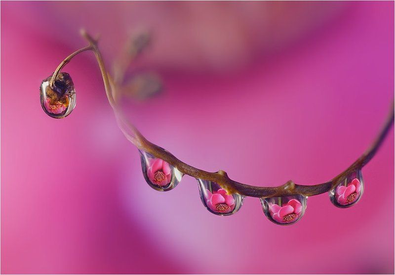 С каплямиphoto preview