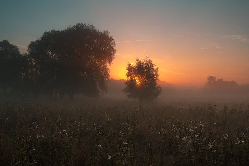 Осколки прошлой осениphoto preview