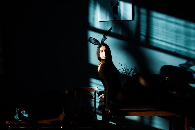 Зайкаphoto preview