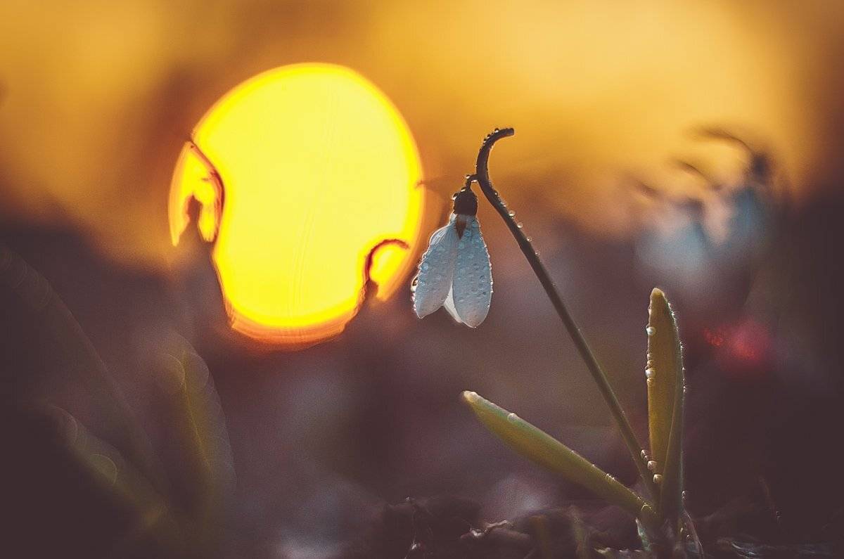 , Татьяна Аверина