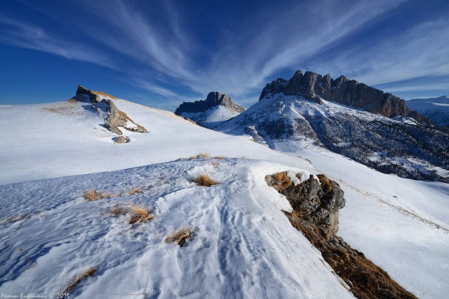 , Максим Евдокимов