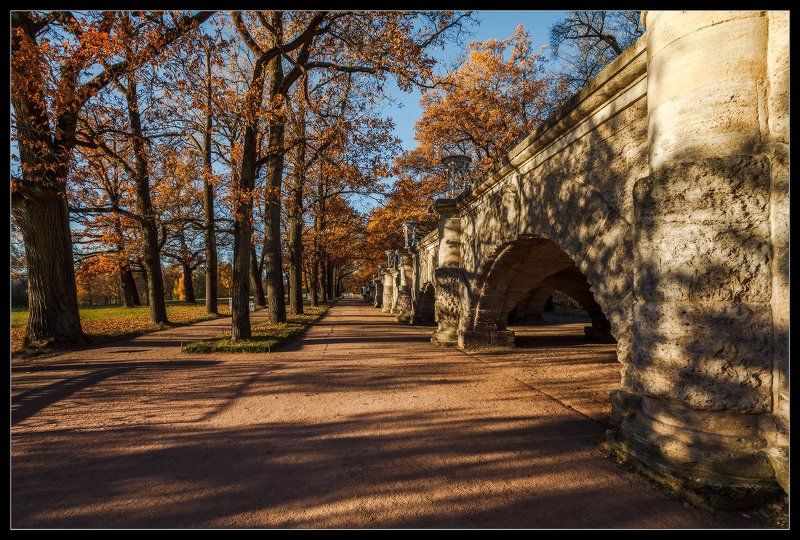 екатерининский парк, осень, пушкин, село, царское, царское село про теплую осень в Царском Селеphoto preview