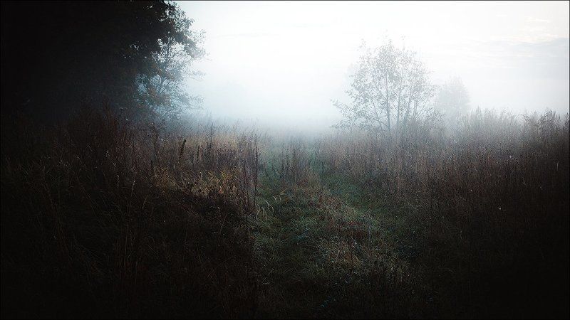 пейзаж, рассвет, россия, псков, природа, туман, свет, цвет Дух русской глубинкиphoto preview