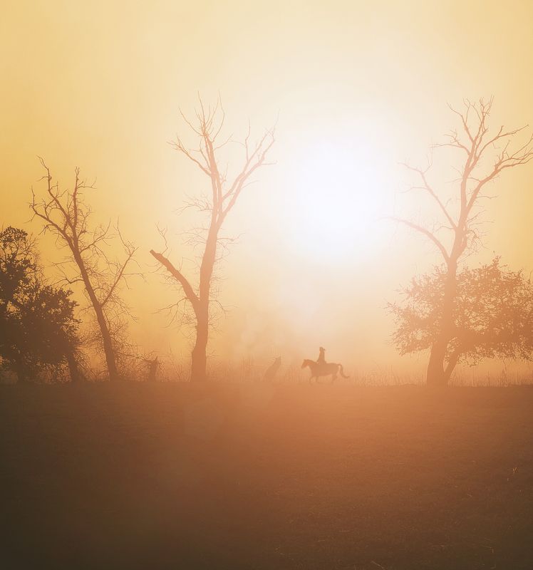 рассвет,природа,лошадь,прогулка Степные рассветыphoto preview