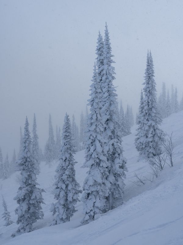 Снежный рай… Snow paradise...photo preview