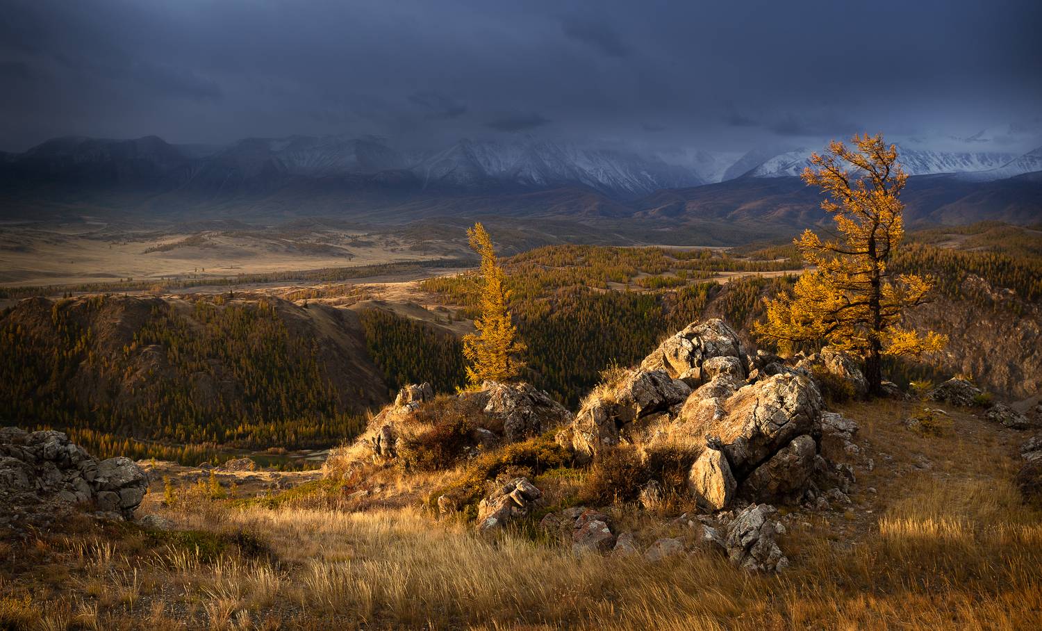 Урочище Таджилу. Автор: Потапов Сергей россия, алтай, осень, Потапов Сергей