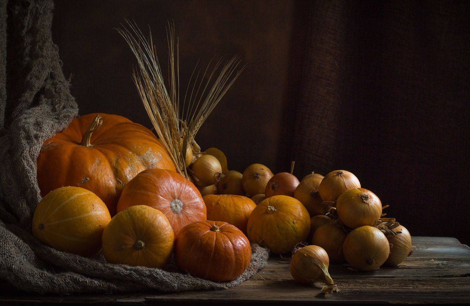 тыква, лук, колосья, Elena Hvojnova