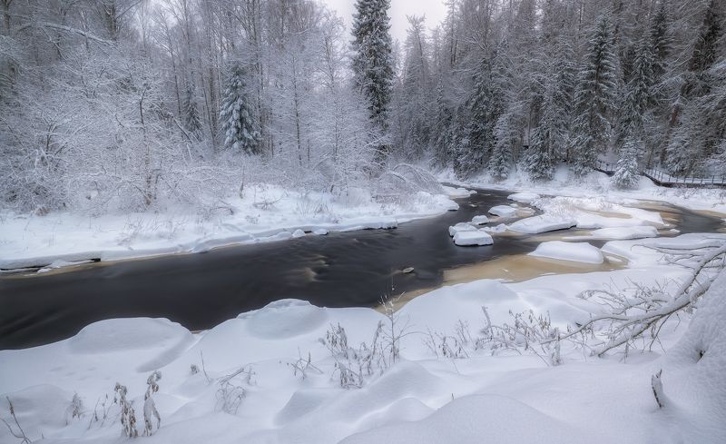 река зима декабрь снег мороз лед ель холод иней туман Снежный пленphoto preview