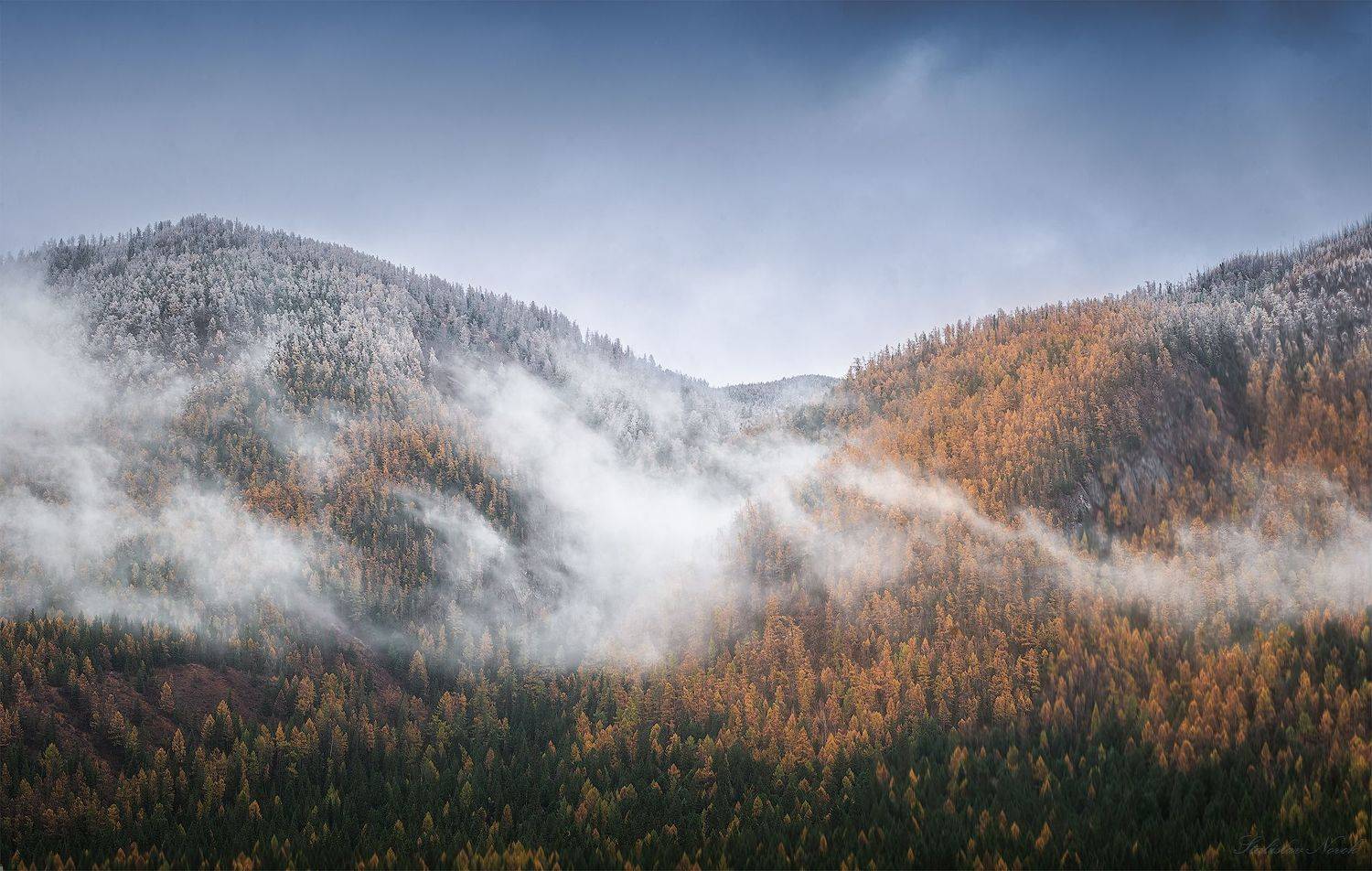 Алтайская осень. Автор: Новокрещенов Станислав Алтай осень туман, Новокрещенов Станислав