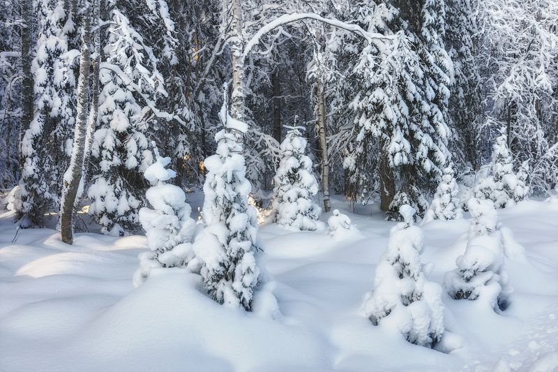 На краю лесаphoto preview