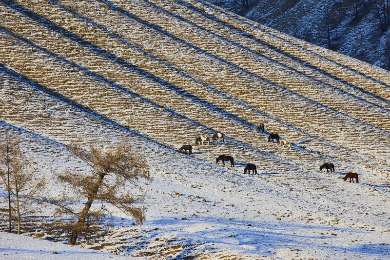 Вечерphoto preview