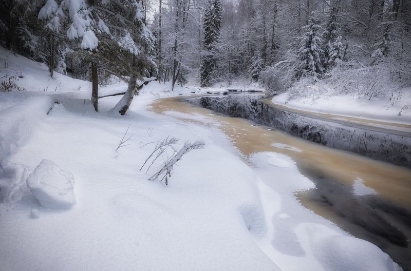 вечер река лес зима декабрь вода отражение лед Зимнее волшебствоphoto preview