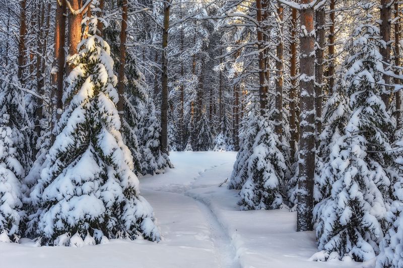 Сказочные хоромы зимыphoto preview