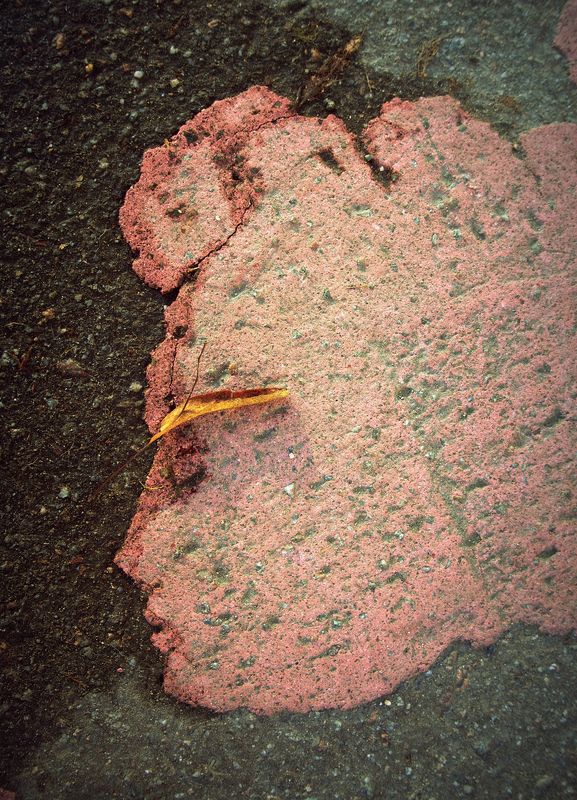 pareidolia ***photo preview