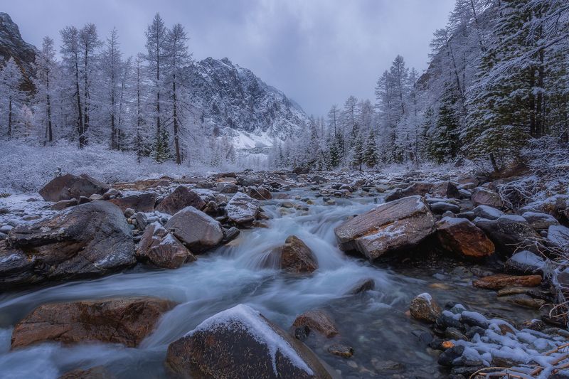 алтай Долина реки Актру после ночного снегопада. Алтай.photo preview