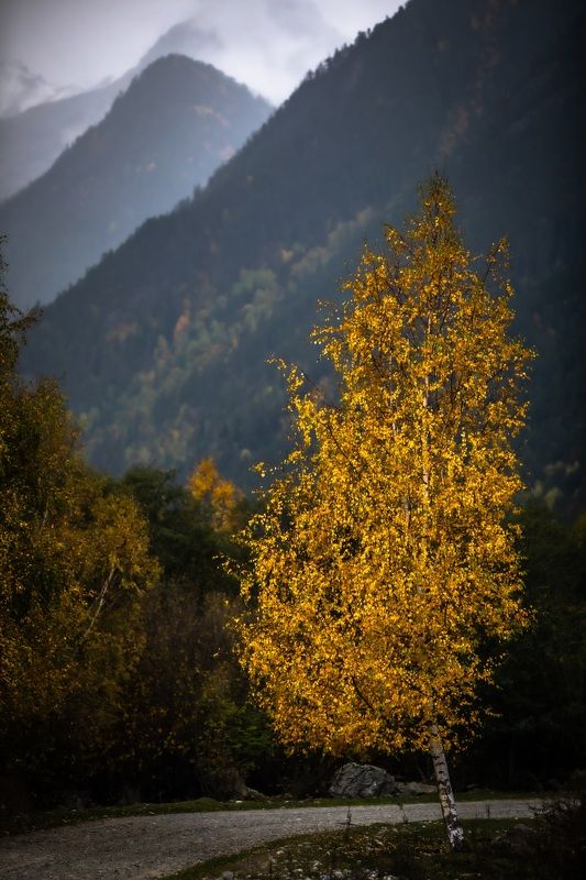 Осень в горах Кавказа.photo preview