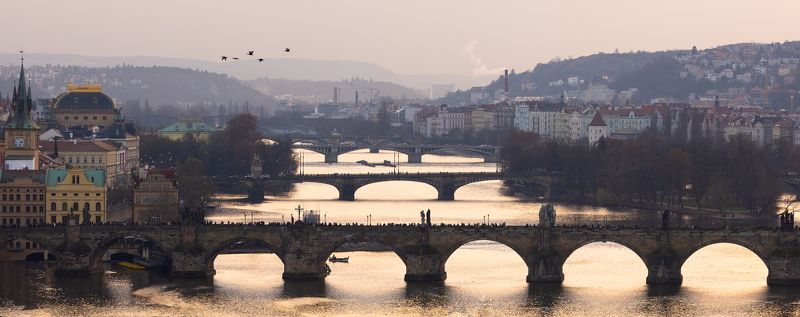 Prague bridgesphoto preview