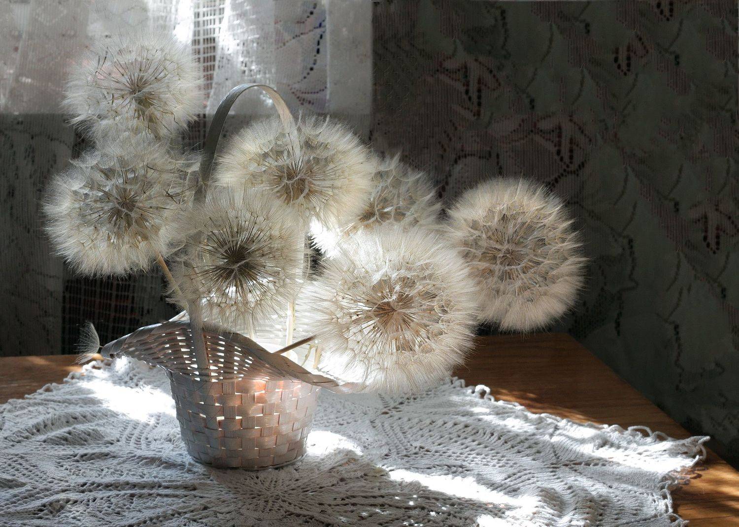 , Ольга Заболотская