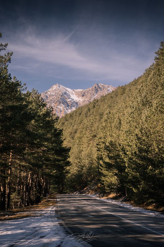 горы, снег, лед, река, замерзшая река, лес, деревья, утро, рассвет, рассвет в горах, сосны, хвойные деревья, осетия, кавказ, солнечный день Зимнее утро.photo preview