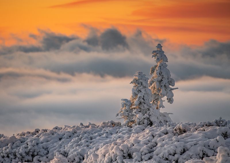 #Karkonosze #National Park #Zima #Snow #Landscape #mountains #góry Karkonosze 2022photo preview