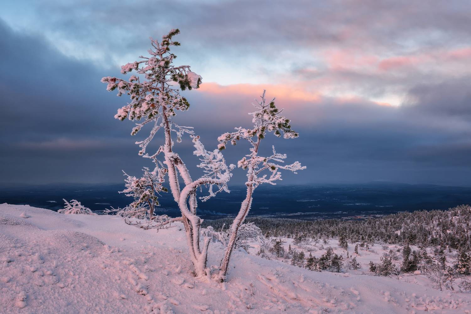 , Максим Евдокимов (phototourtravel.ru)