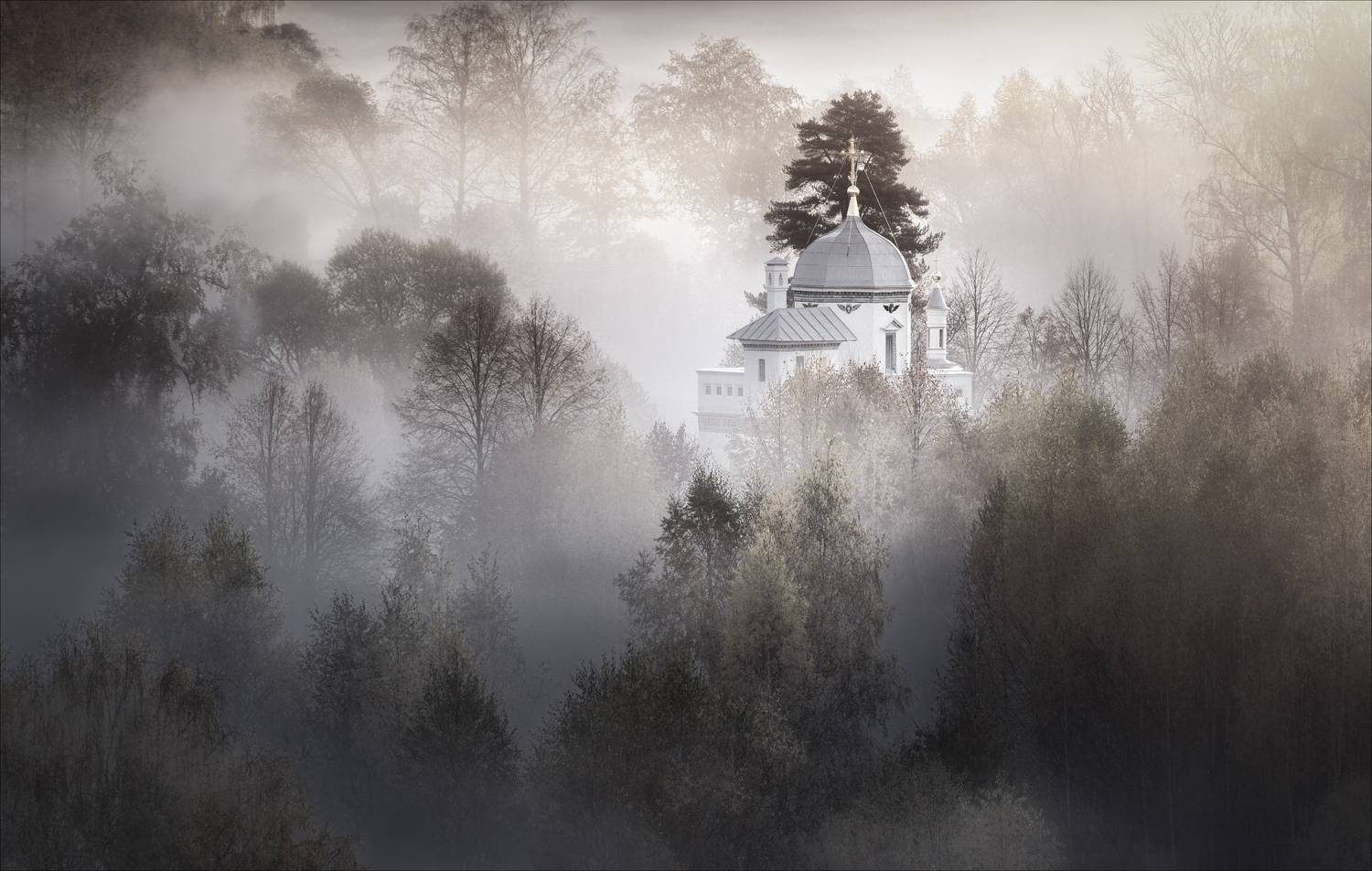 ***. Автор: Алексей Богорянов , Алексей Богорянов