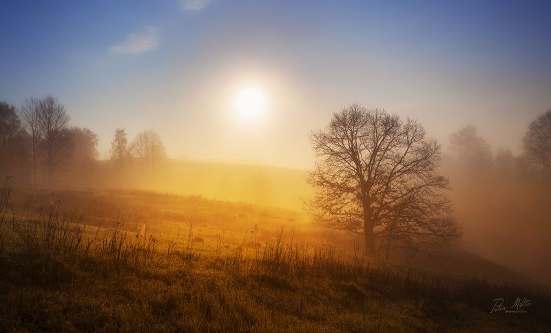 Желтая рекаphoto preview