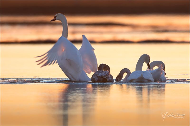 Битва с морозомphoto preview