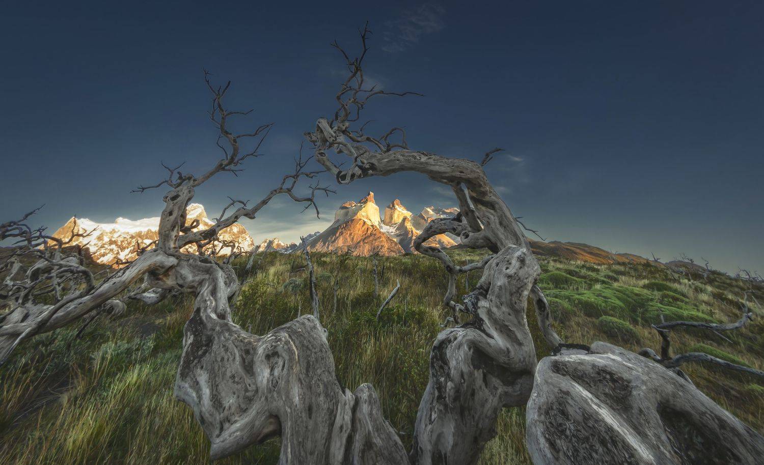 , Андрей Чабров