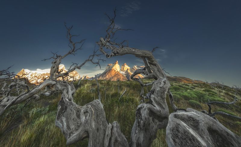 Patagonia фото превью