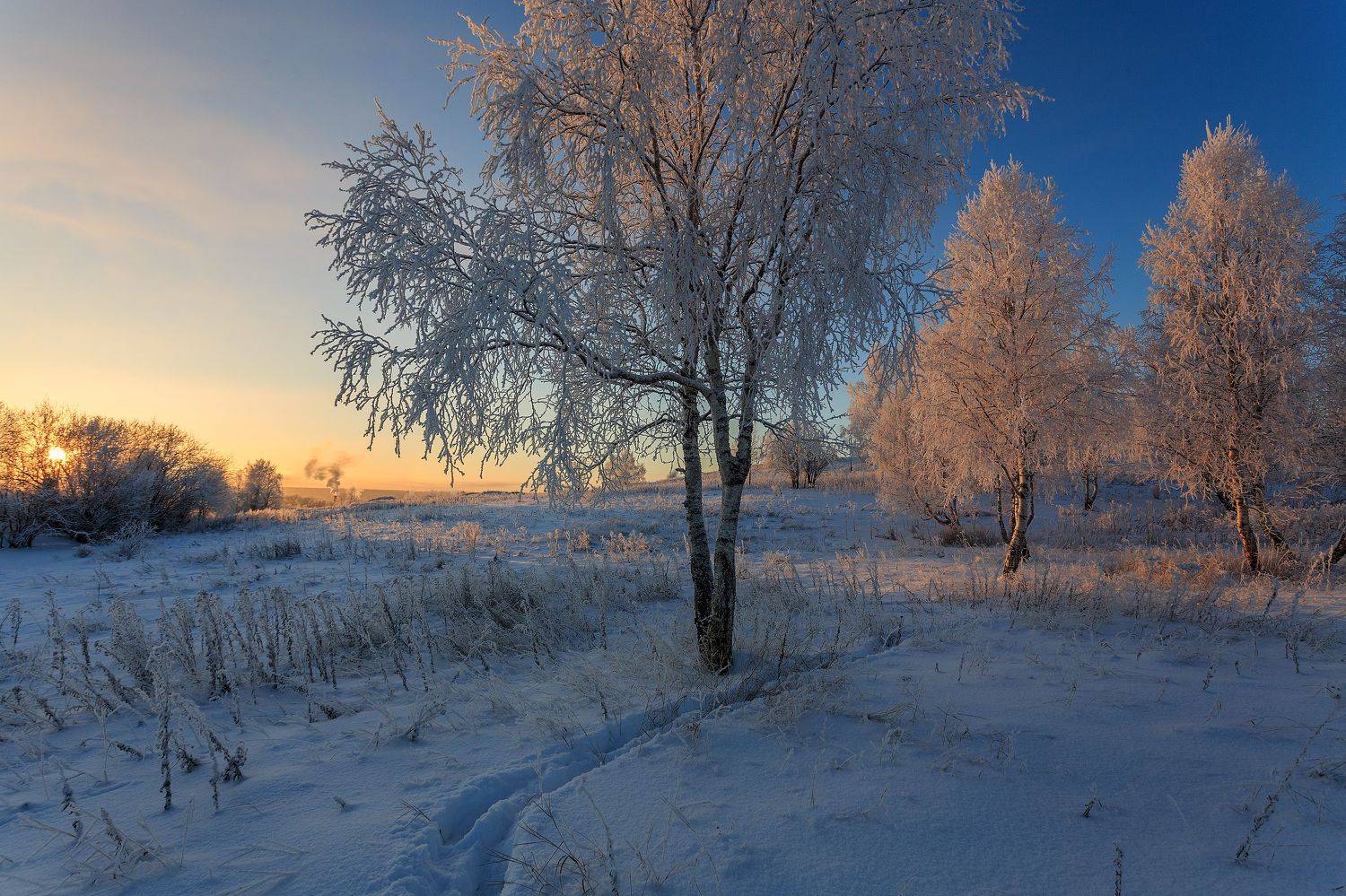 , Лисаускас Илья