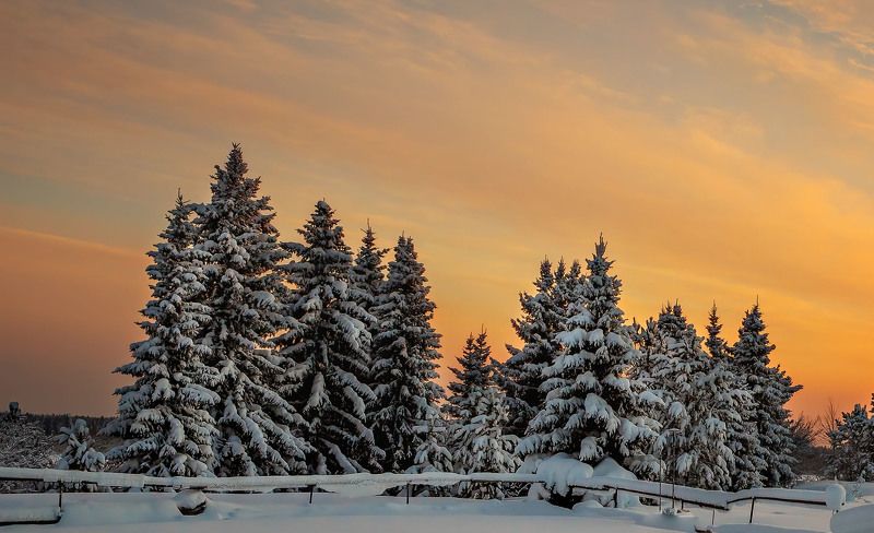 зима,закаы,мороз,холод,коми,север,снег,ноый год,красота,тишина,winter, К Новому году готовы!photo preview