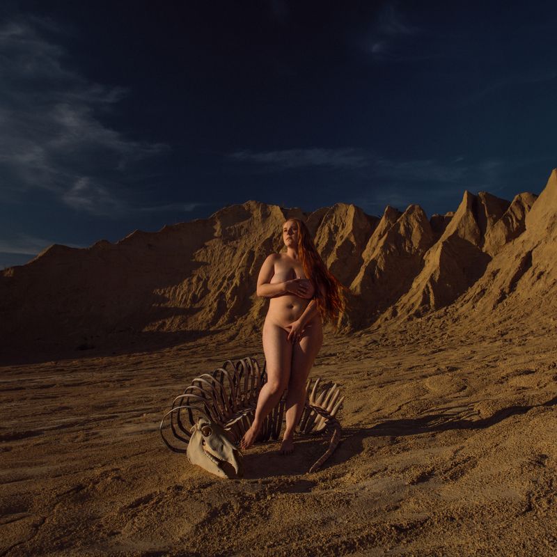 Всадник Апокалипсиса \