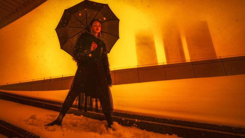 BLACK RAVENphoto preview