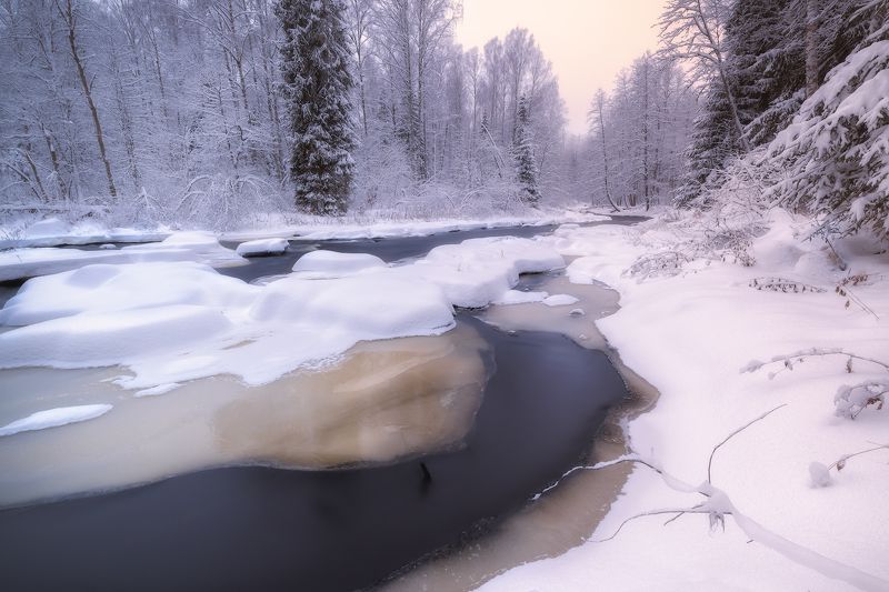 река зима декабрь снег мороз лед ель холод иней Ледяные кружеваphoto preview