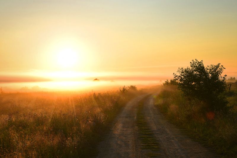 Утроphoto preview