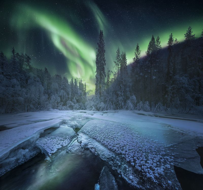 кольский полуостров,кольский,зима,winter,snow,kola peninsula,forest,aurora borealis Midnight Magicphoto preview