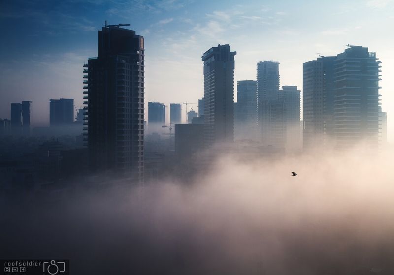 Tel aviv, Israel, city, urban, architecture, cityscape, above, sunset, sunrise, skyscraper, roofer, roof, fog, mist, morning Fog in Tel Avivphoto preview