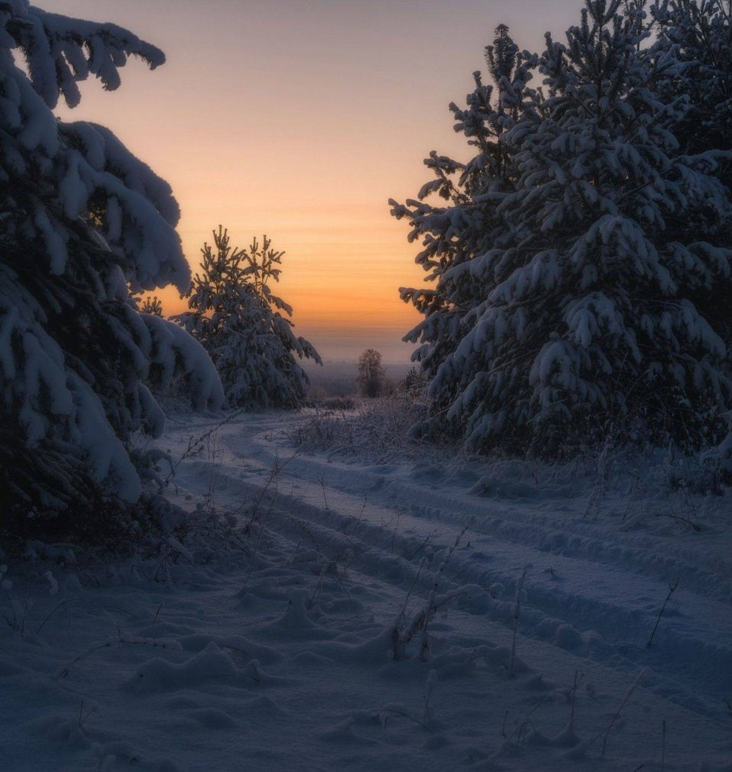 Дорога к рассвету. Автор: Михаил , Михаил