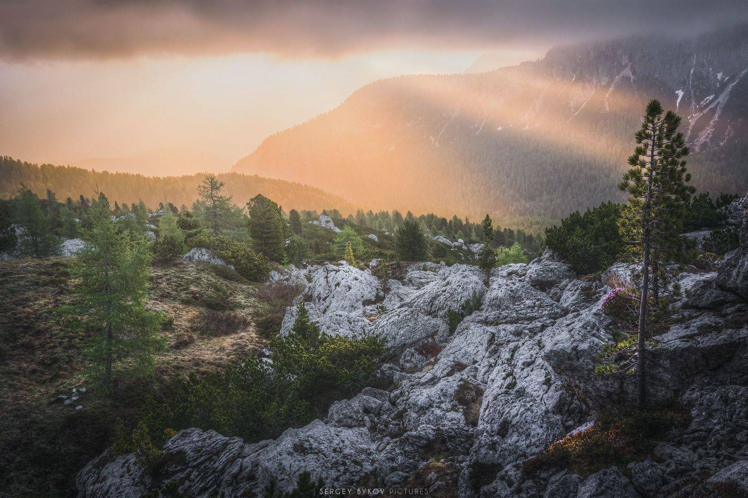 , Быков Сергей