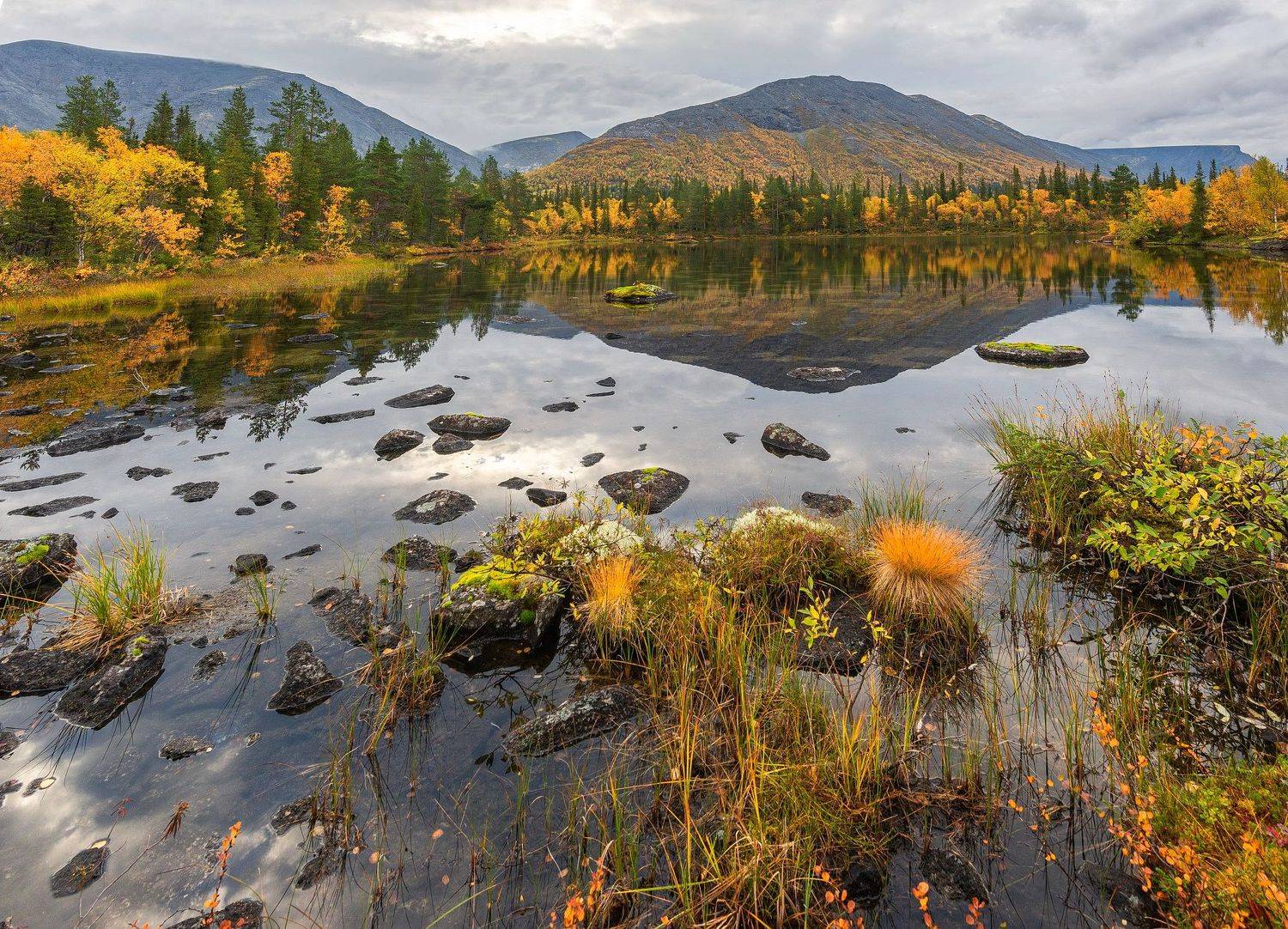 , Владимир Брагилевский