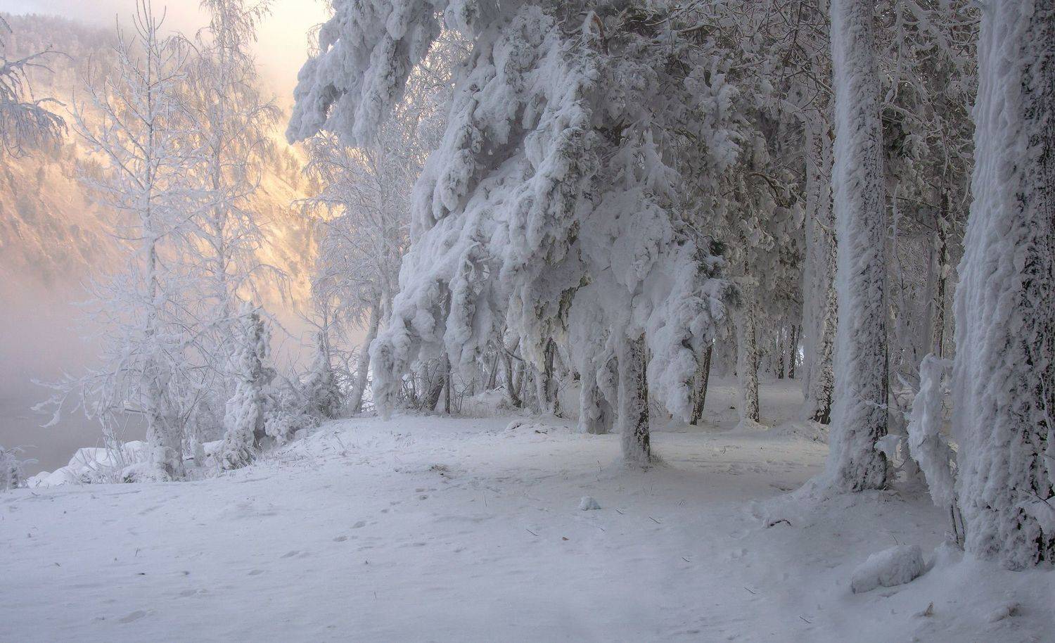 Морозное дыхание реки. Автор: Фомина Марина енисей, мороз, иней, изморозь, куржак, берег, Фомина Марина